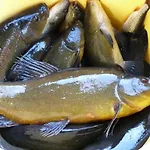 Prázdninový dům In Kaschubei By Interhome *