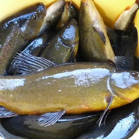 Дом отдыха In Kaschubei By Interhome *