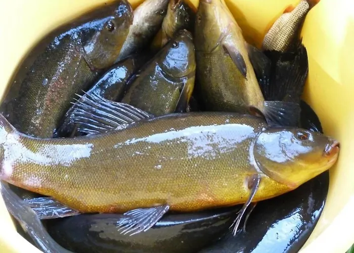 Дом отдыха In Kaschubei By Interhome *